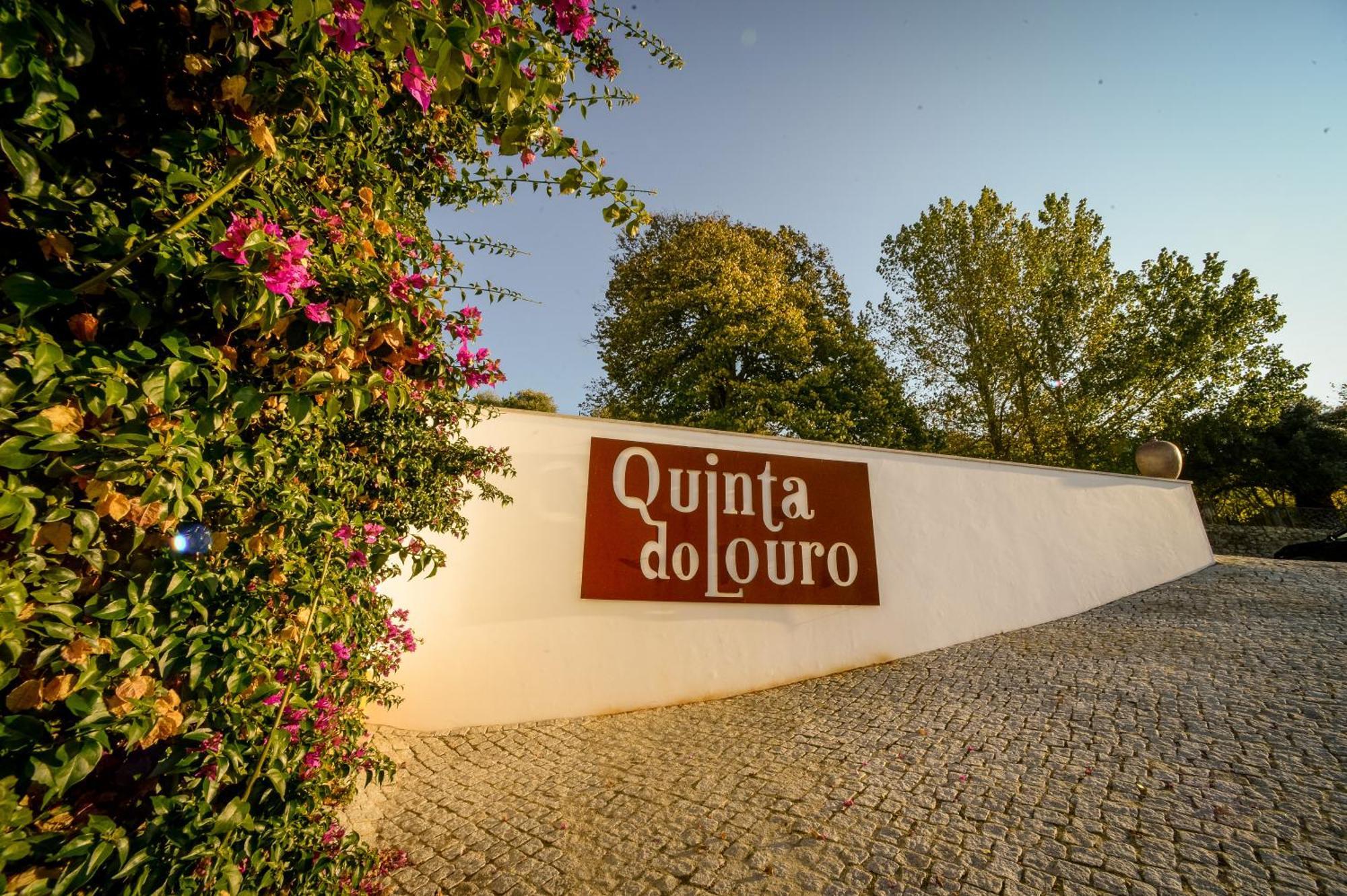 Quinta Do Louro Guest House Palmela Ngoại thất bức ảnh